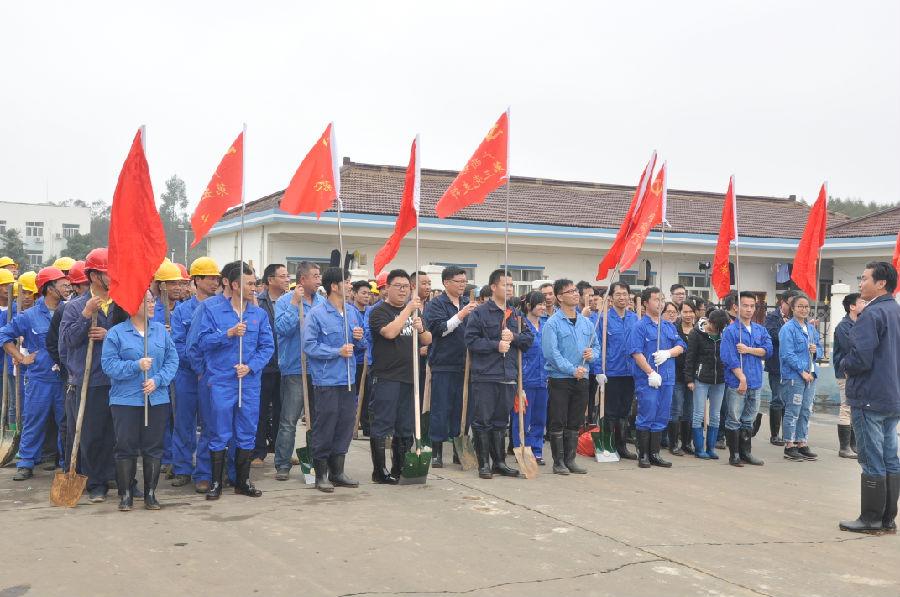 讓森林走進(jìn)銀億，讓銀億擁抱森林