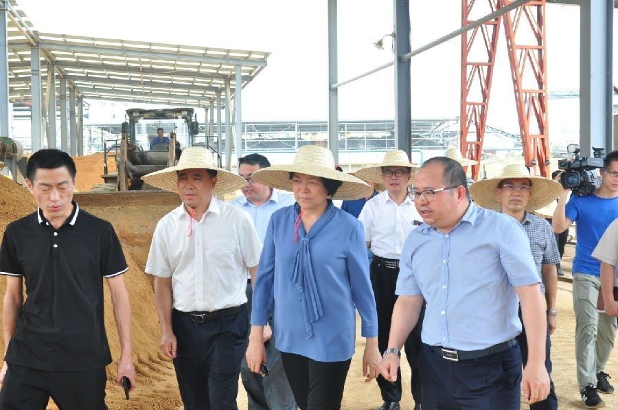 自治區(qū)黨委常委、副主席嚴植嬋一行蒞臨廣西銀億調(diào)研